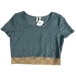 Frenchi Blue Lace Crop Top Short Sleeve Scalloped Hem Size L Nordstrom NWT